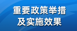 重要政策舉措及實(shí)施效果
